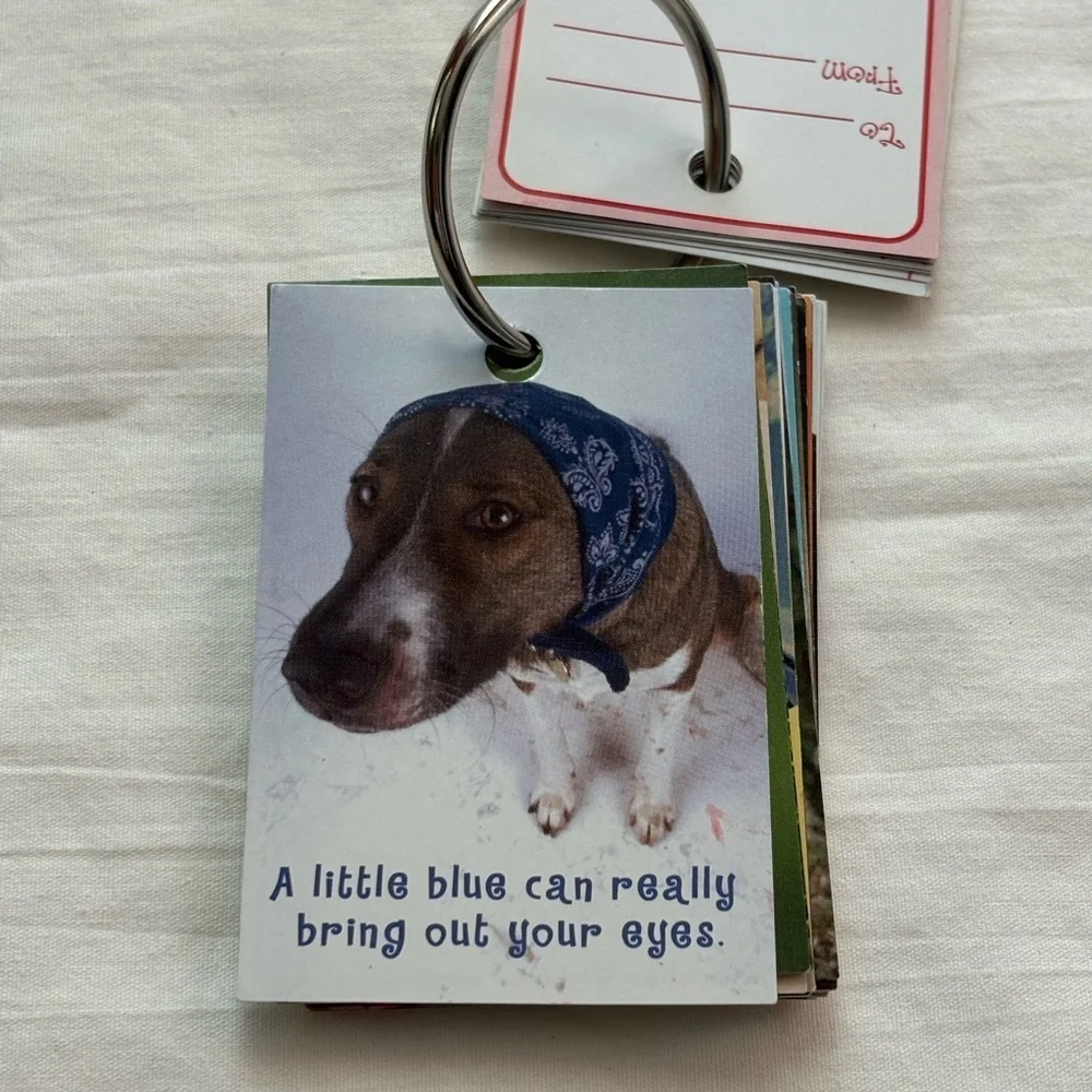Klutz Deck of Dog-isms Wisdom Trading Cards - Multicolor. Y2K
